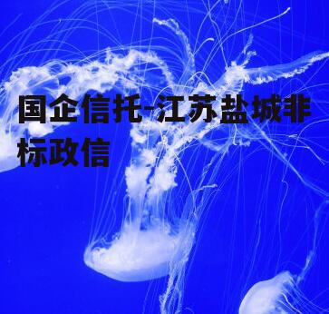 国企信托-江苏盐城非标政信