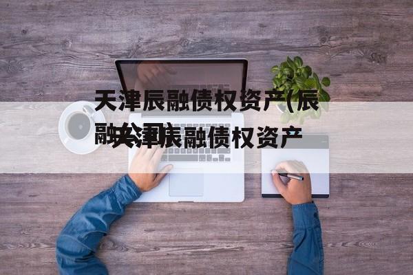 天津辰融债权资产(辰融公司)