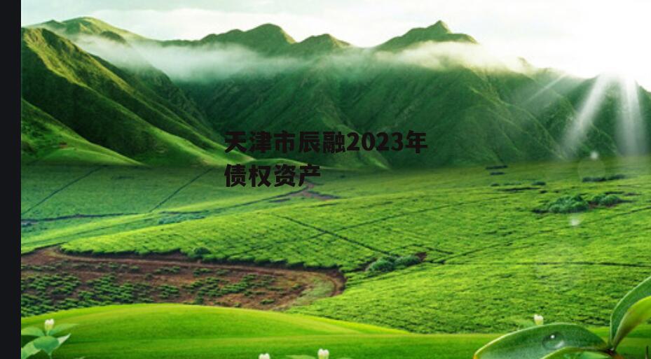 天津市辰融2023年债权资产