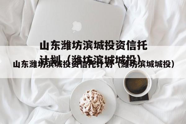 山东潍坊滨城投资信托计划（潍坊滨城城投）