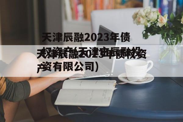 天津辰融2023年债权资产(天津市辰融投资有限公司)