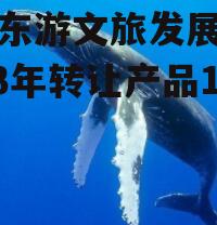绵阳东游文旅发展债权2023年转让产品1号