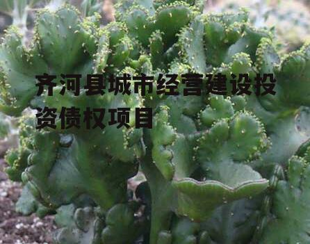 齐河县城市经营建设投资债权项目