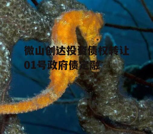 微山创达投资债权转让01号政府债定融