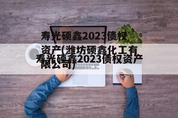 寿光硕鑫2023债权资产(潍坊硕鑫化工有限公司)