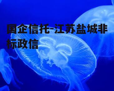国企信托-江苏盐城非标政信