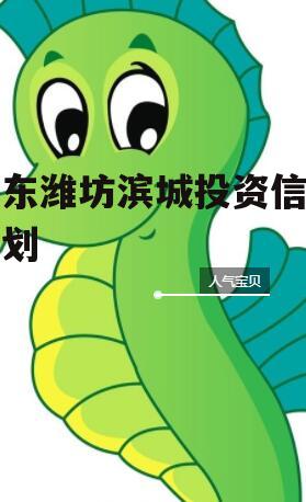 山东潍坊滨城投资信托计划