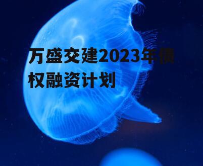 万盛交建2023年债权融资计划
