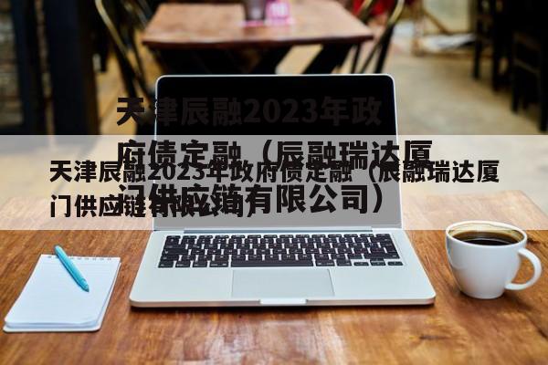 天津辰融2023年政府债定融（辰融瑞达厦门供应链有限公司）