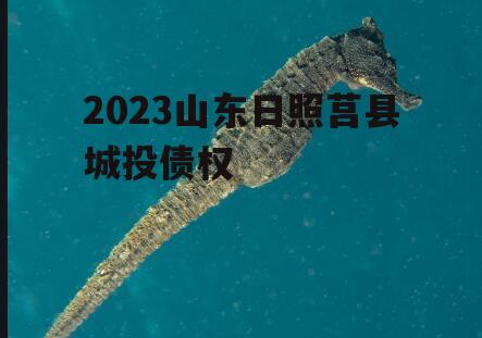2023山东日照莒县城投债权
