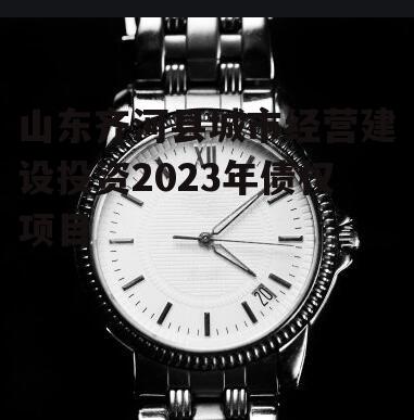 山东齐河县城市经营建设投资2023年债权项目
