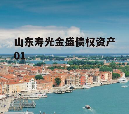 山东寿光金盛债权资产01