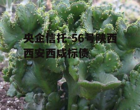 央企信托-56号陕西西安西咸标债