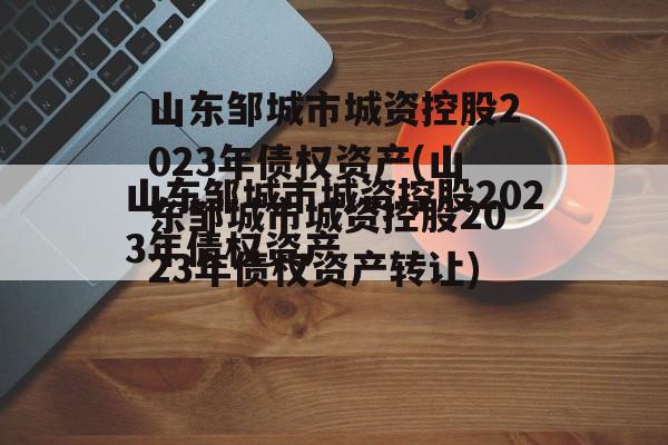 山东邹城市城资控股2023年债权资产(山东邹城市城资控股2023年债权资产转让)