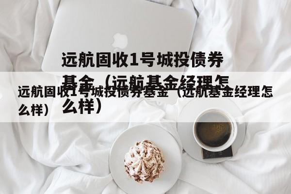 远航固收1号城投债券基金（远航基金经理怎么样）