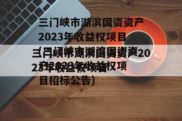 三门峡市湖滨国资资产2023年收益权项目(三门峡市湖滨国资资产2023年收益权项目招标公告)