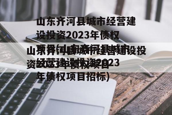 山东齐河县城市经营建设投资2023年债权项目(山东齐河县城市经营建设投资2023年债权项目招标)