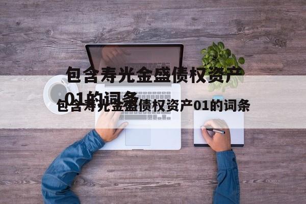 包含寿光金盛债权资产01的词条