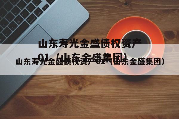 山东寿光金盛债权资产01（山东金盛集团）
