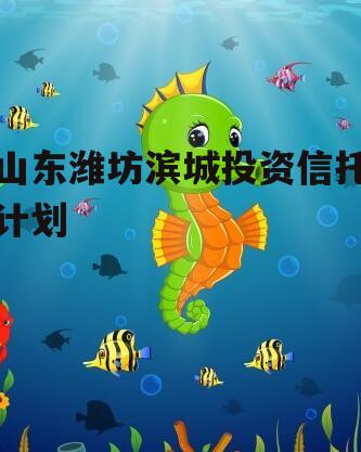 山东潍坊滨城投资信托计划
