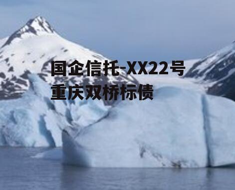国企信托-XX22号重庆双桥标债