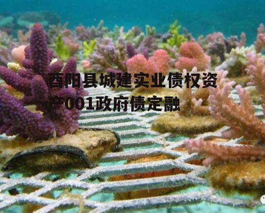 酉阳县城建实业债权资产001政府债定融