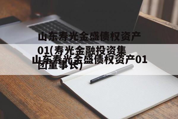 山东寿光金盛债权资产01(寿光金融投资集团董事长)