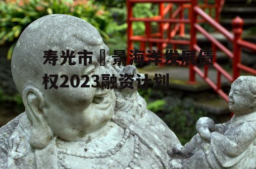 寿光市昇景海洋发展债权2023融资计划