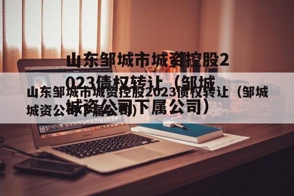 山东邹城市城资控股2023债权转让（邹城城资公司下属公司）