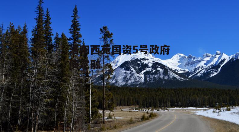 洛阳西苑国资5号政府债定融