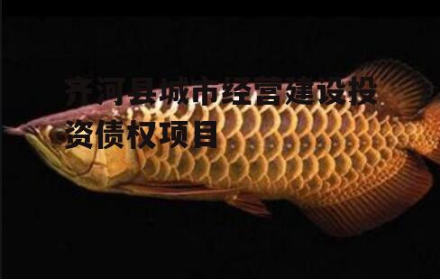 齐河县城市经营建设投资债权项目