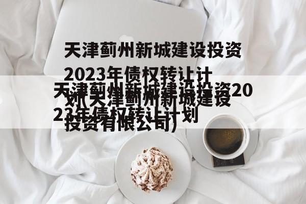 天津蓟州新城建设投资2023年债权转让计划(天津蓟州新城建设投资有限公司)