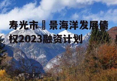 寿光市昇景海洋发展债权2023融资计划