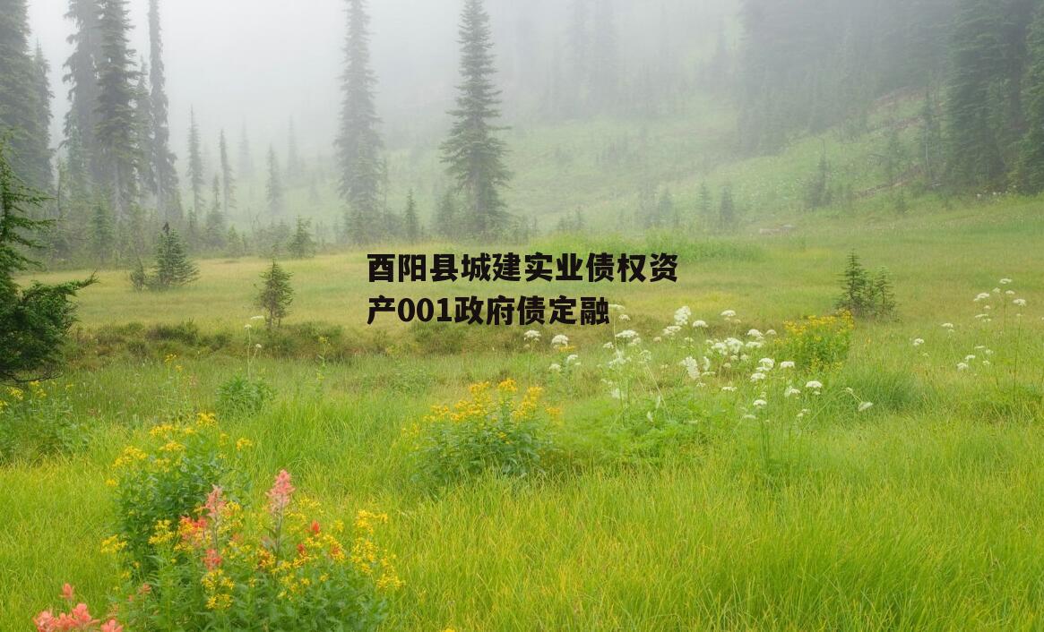 酉阳县城建实业债权资产001政府债定融