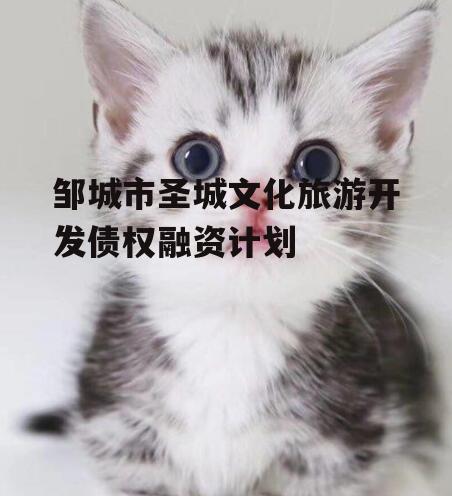邹城市圣城文化旅游开发债权融资计划