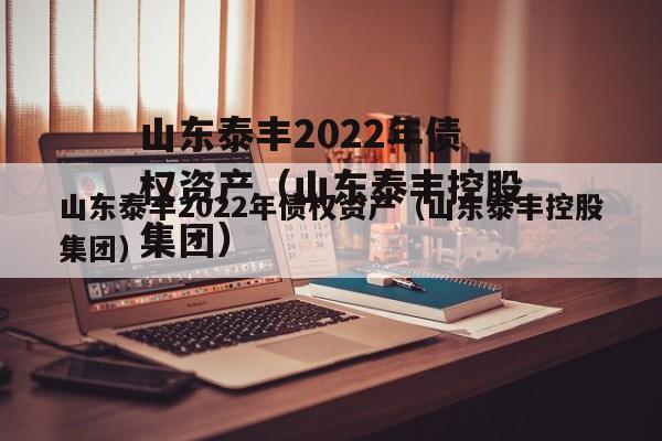 山东泰丰2022年债权资产（山东泰丰控股集团）