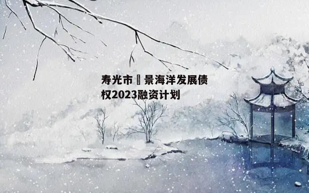 寿光市昇景海洋发展债权2023融资计划