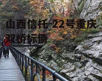 山西信托-22号重庆双桥标债