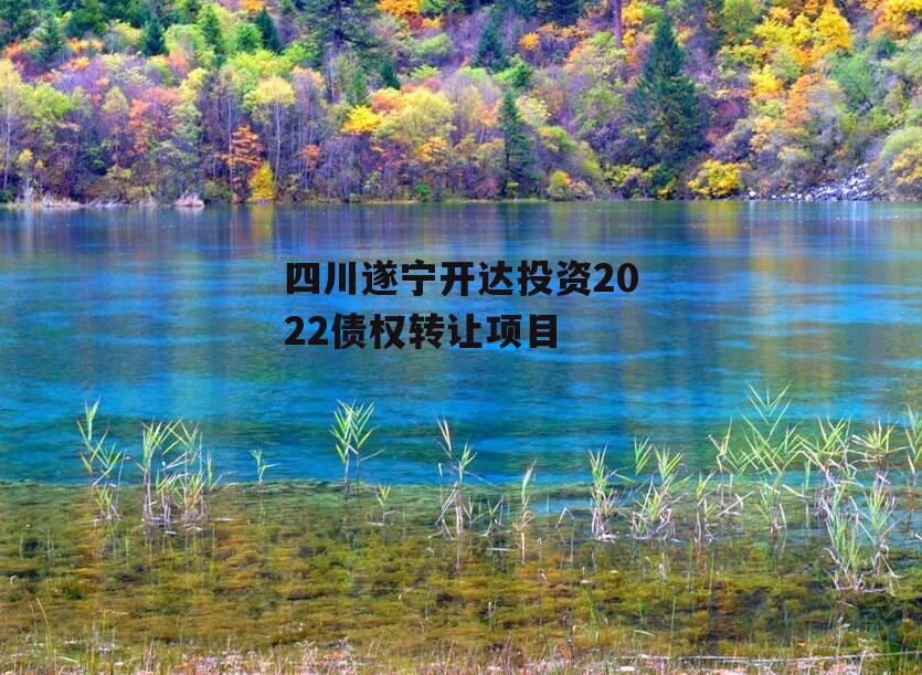 四川遂宁开达投资2022债权转让项目