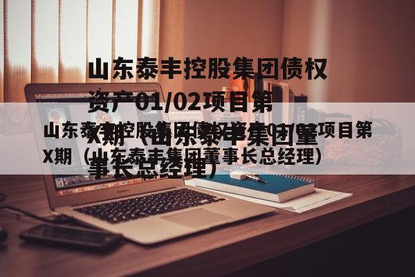 山东泰丰控股集团债权资产01/02项目第X期（山东泰丰集团董事长总经理）