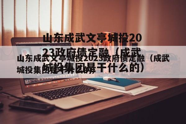 山东成武文亭城投2023政府债定融（成武城投集团是干什么的）
