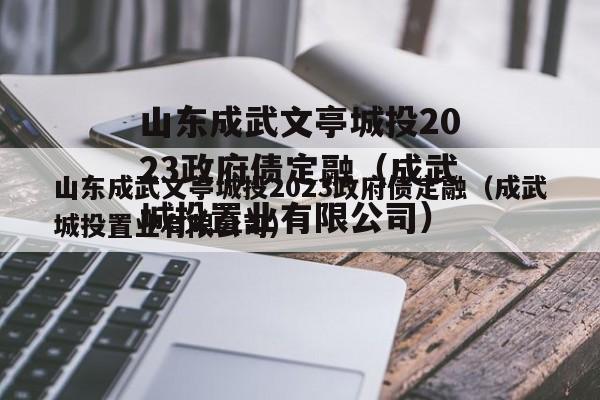 山东成武文亭城投2023政府债定融（成武城投置业有限公司）