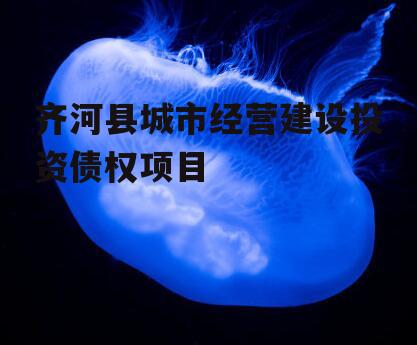 齐河县城市经营建设投资债权项目