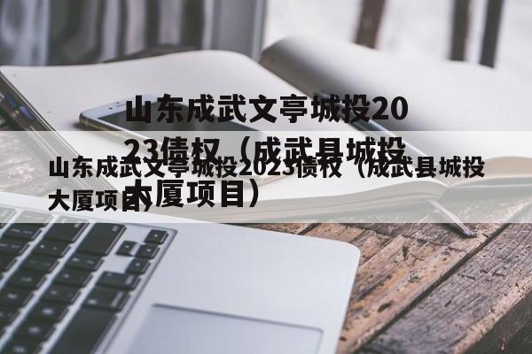 山东成武文亭城投2023债权（成武县城投大厦项目）