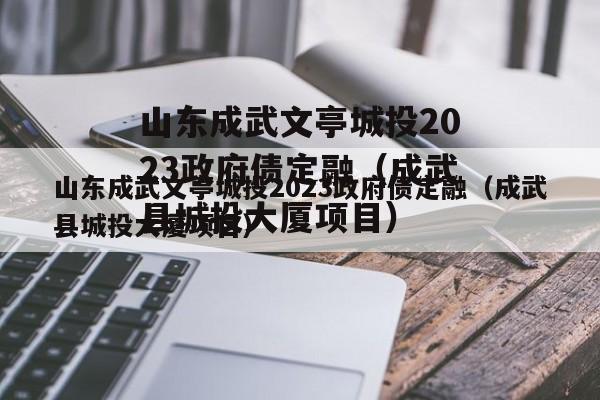 山东成武文亭城投2023政府债定融（成武县城投大厦项目）