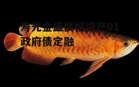 寿光金盛债权资产01政府债定融