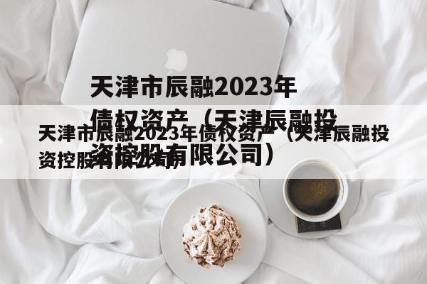 天津市辰融2023年债权资产（天津辰融投资控股有限公司）