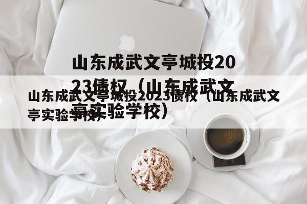 山东成武文亭城投2023债权（山东成武文亭实验学校）