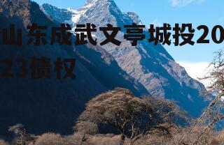 山东成武文亭城投2023债权