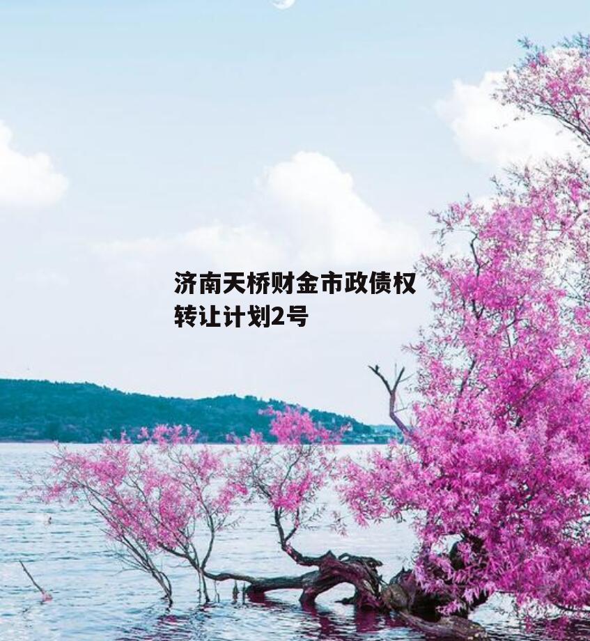 济南天桥财金市政债权转让计划2号